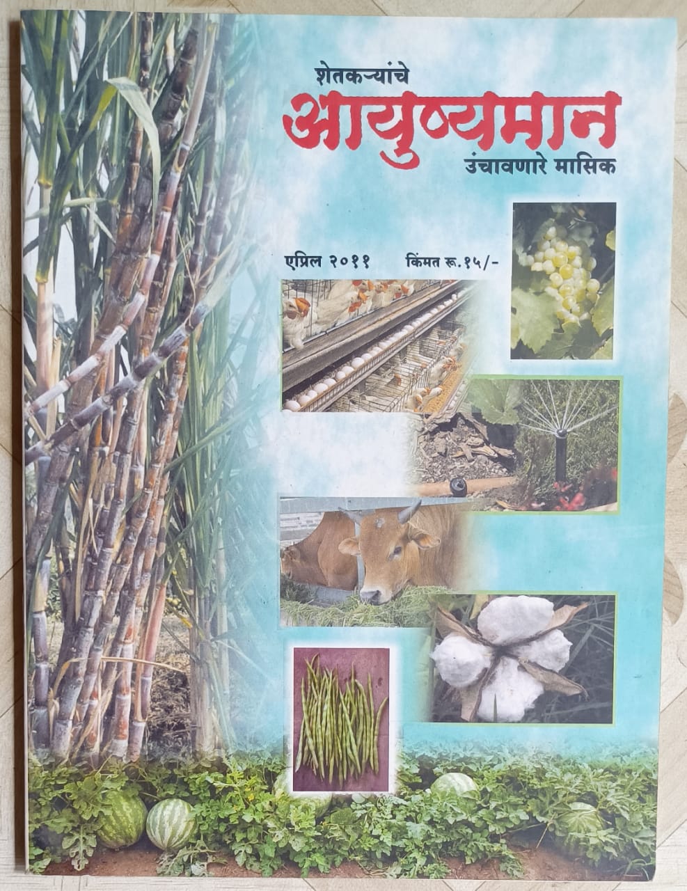 WhatsApp Image 2025-11-29 at 1.39.22 PM (1)